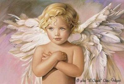 petit_ange
